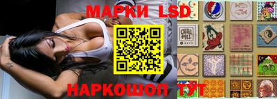 Альфа ПВП Кунгур