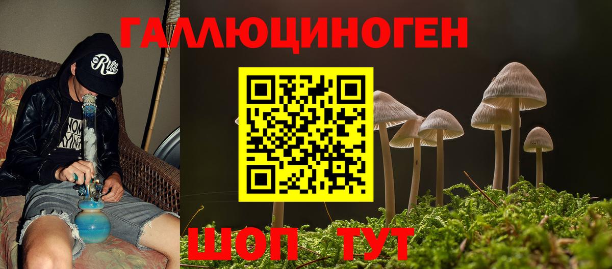 Псилоцибиновые грибы Magic Shrooms  Псилоцибиновые грибы GOLDEN TEACHER  Вход с VPN  Ипатово 